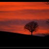 20080121_036